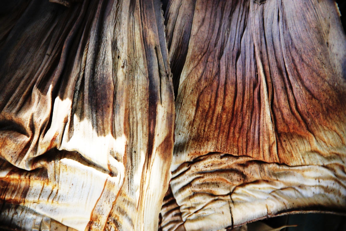 Artwork by Daniela Ament, slide 5 of 5